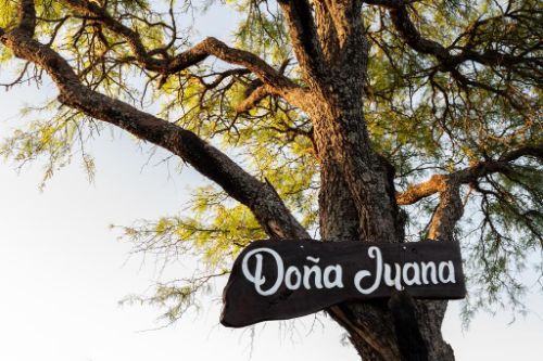 Cabanas Dona Juana 17