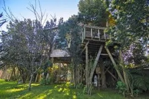Casa Del Arbol De Chiloe